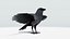 CROW - BLENDER