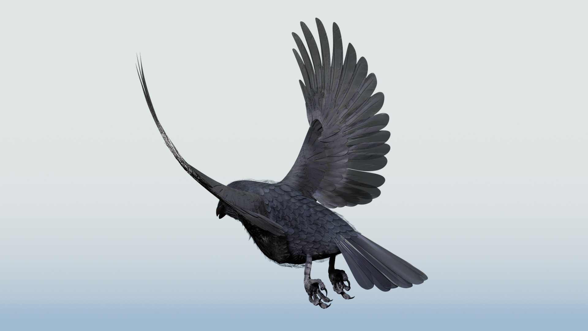 3D CROW - BLENDER model https://p.turbosquid.com/ts-thumb/ow/klYBbZ/hP/flyloopf30/png/1659230164/1920x1080/fit_q87/a9fb852e9b68340b8d611c5930cda8cdbdb815ec/flyloopf30.jpg