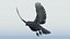 CROW - BLENDER