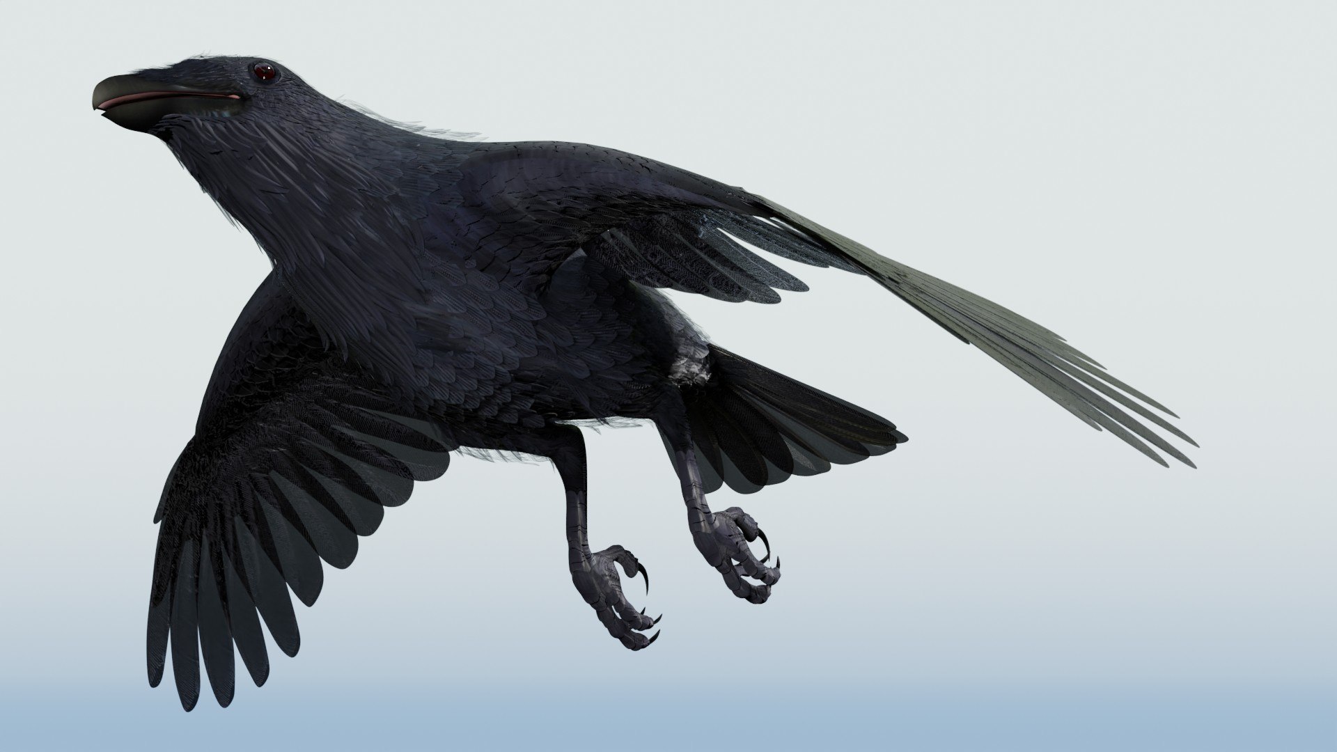 3D CROW - BLENDER model https://p.turbosquid.com/ts-thumb/ow/klYBbZ/jj/takeofffree255/jpg/1659230174/1920x1080/fit_q87/31370673973601f1531c57204afd9e5d1c4e6f8f/takeofffree255.jpg