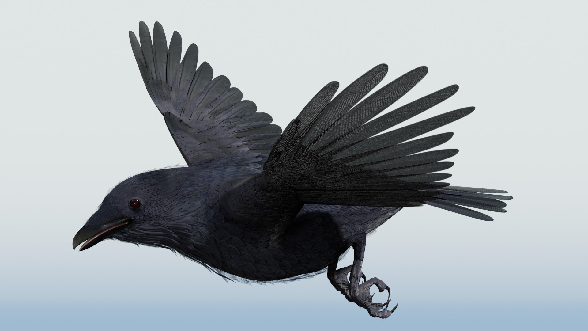 3D CROW - BLENDER model https://p.turbosquid.com/ts-thumb/ow/klYBbZ/mH/flyloopf14/jpg/1659230156/1920x1080/fit_q87/e1509744d200d450e2879d929833b39c6389ee3f/flyloopf14.jpg