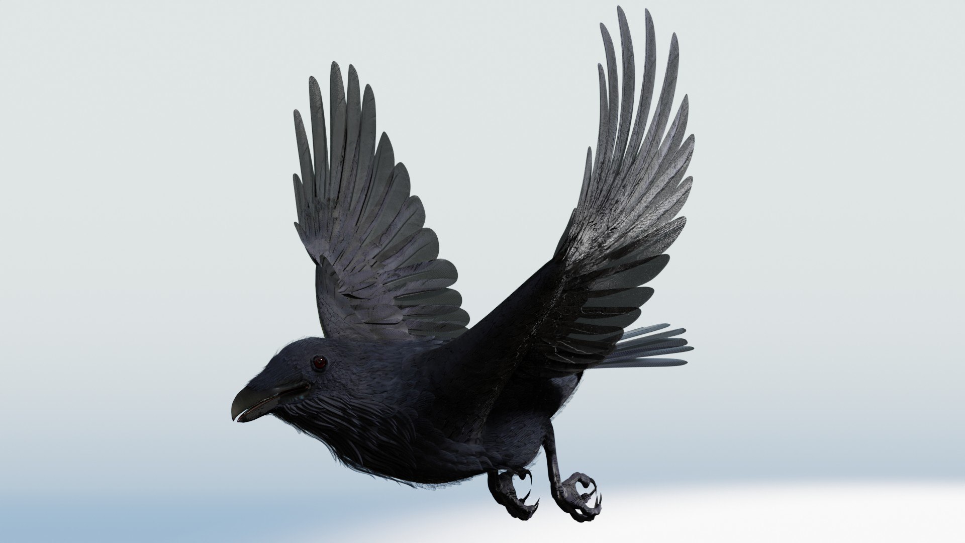 3D CROW - BLENDER model https://p.turbosquid.com/ts-thumb/ow/klYBbZ/p2/takeofffree227/jpg/1659230173/1920x1080/fit_q87/417189d24ae374c3af2c7a1408c8cdb9e65beb7f/takeofffree227.jpg