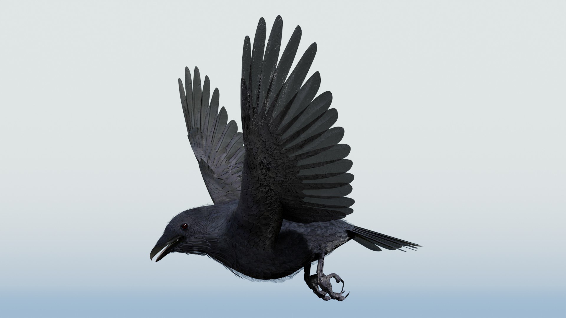 3D CROW - BLENDER model https://p.turbosquid.com/ts-thumb/ow/klYBbZ/sZ/flyloopf28/jpg/1659230158/1920x1080/fit_q87/0c0c7b7df2de81b1ba627368d7f14af6c242cd9b/flyloopf28.jpg