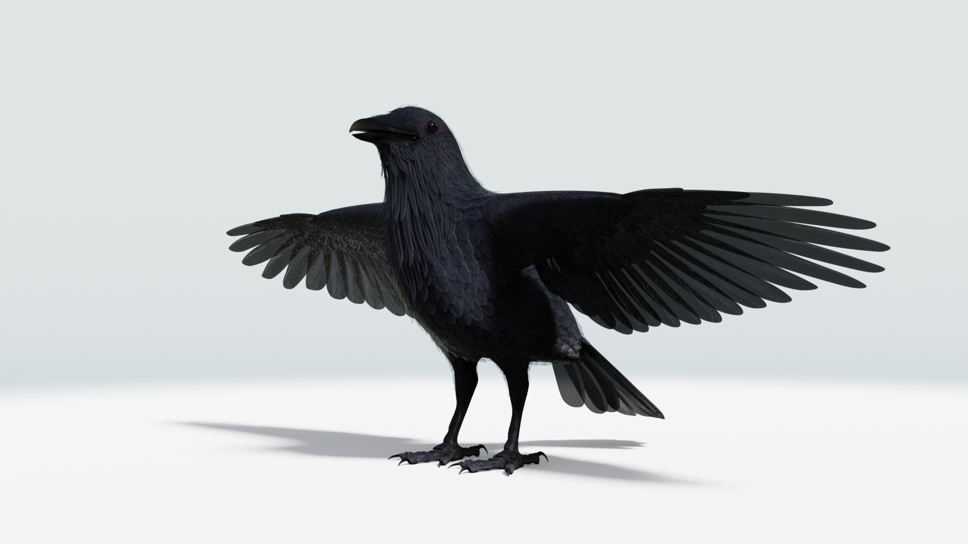 3D CROW - BLENDER model https://p.turbosquid.com/ts-thumb/ow/klYBbZ/xz/crow_tt_color/png/1659230248/1920x1080/turn_fit_q99/1aadafade09fb899f3a9ad4a05d4b2b92a4345e4/crow_tt_color-1.jpg