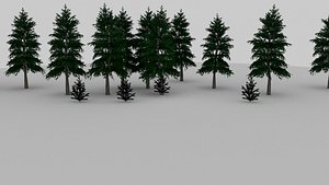 3D spruce tree