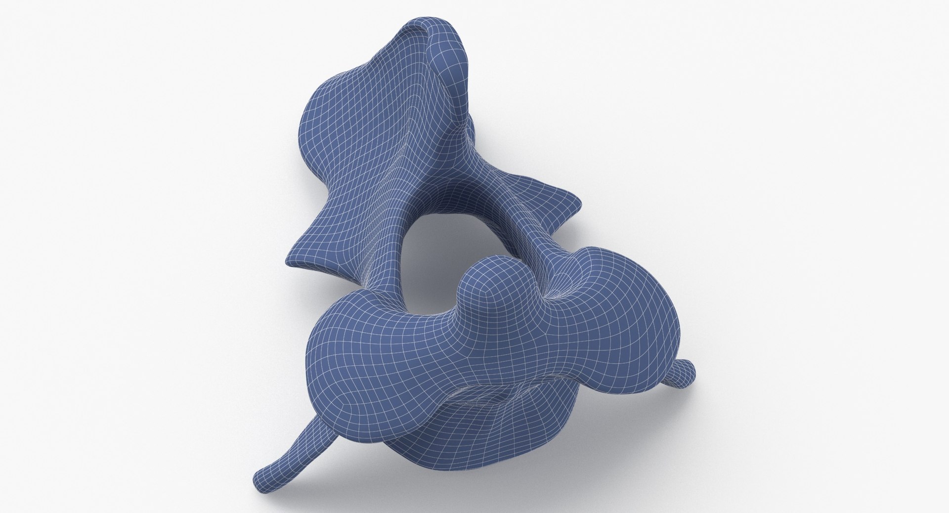Bear Ursus Cervical Vertebrae C2 Axis 01 3D model https://p.turbosquid.com/ts-thumb/ox/38Srt0/Mp/bear_ursus_cervical_vertebrae_c2_axis_01_wireframe_0002/jpg/1694162133/1920x1080/fit_q87/aa97fc079c64ea34863d2939ff3cc3eee8ae839a/bear_ursus_cervical_vertebrae_c2_axis_01_wireframe_0002.jpg