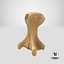 Kangaroo Red Necked Wallaby Caudal Vertebrae Cd2