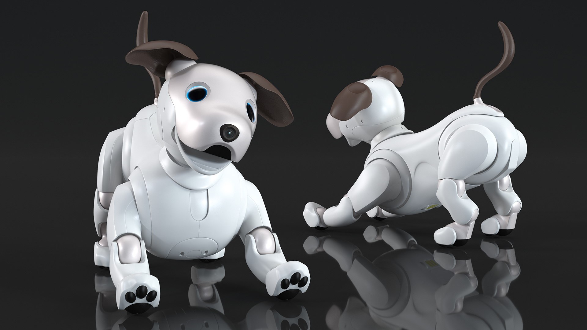 3D model Robots Collection 8 https://p.turbosquid.com/ts-thumb/ox/8snqmR/JS/robotscollection8mb3dmodel017/jpg/1693443908/1920x1080/fit_q87/f7ed3cdedb8b03b06110566dd2005f8305f15040/robotscollection8mb3dmodel017.jpg