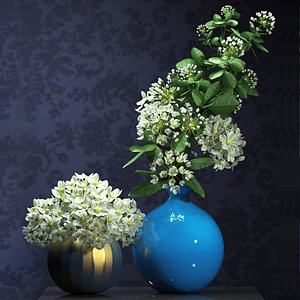 3d model flower vase set