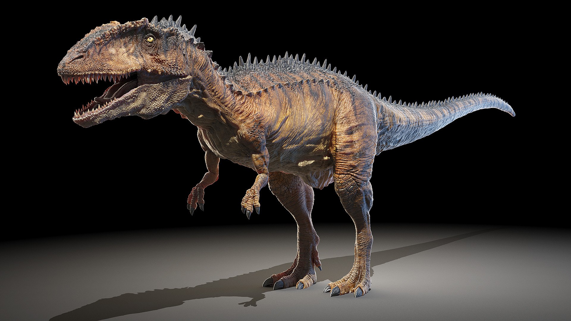 Dinopack XXL Static 3D model https://p.turbosquid.com/ts-thumb/ox/j0S7ab/0X/carcharodontosaurus0001/jpg/1623140485/1920x1080/fit_q87/a0759d0ba083f8f5484f4131a9bc57d948062a13/carcharodontosaurus0001.jpg