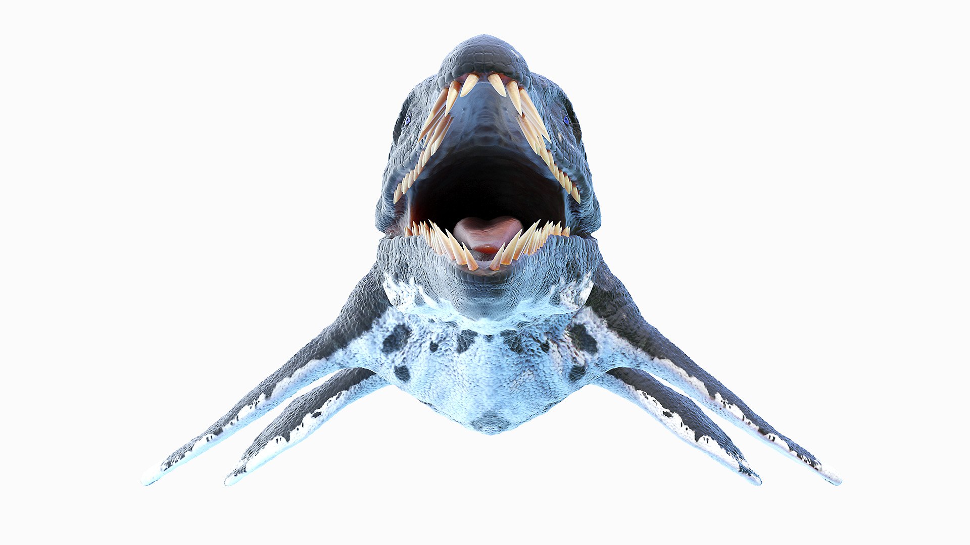 Dinopack XXL Static 3D model https://p.turbosquid.com/ts-thumb/ox/j0S7ab/2p/liopleurodon0001/jpg/1623152649/1920x1080/fit_q87/432114afd06f54c9a83db52dc49f648416f0ece8/liopleurodon0001.jpg