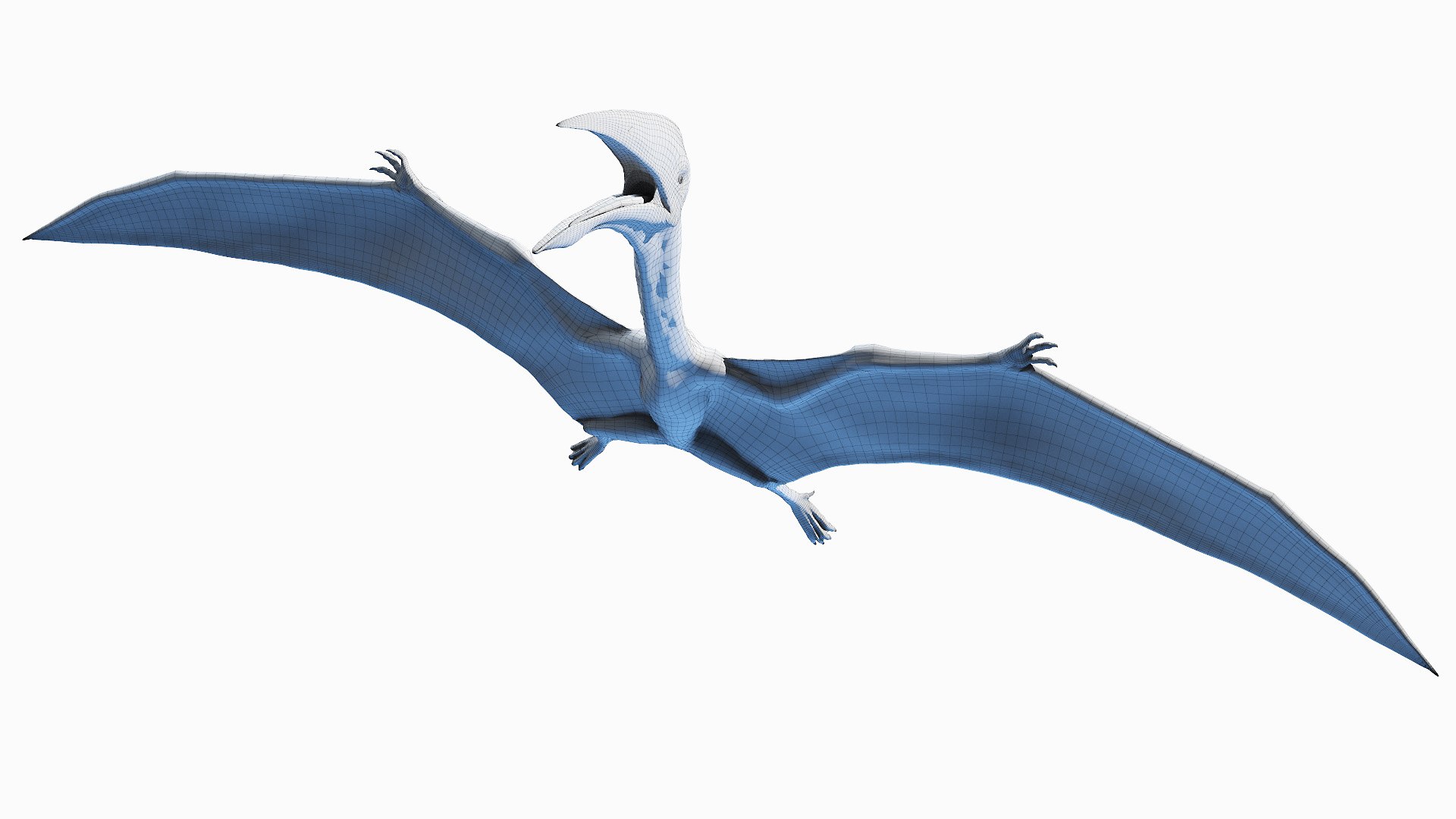Dinopack XXL Static 3D model https://p.turbosquid.com/ts-thumb/ox/j0S7ab/3E/hazegopteryx_wire0001/jpg/1623163702/1920x1080/fit_q87/4839ba708f0861030009fd44a29442c25b8e0adf/hazegopteryx_wire0001.jpg