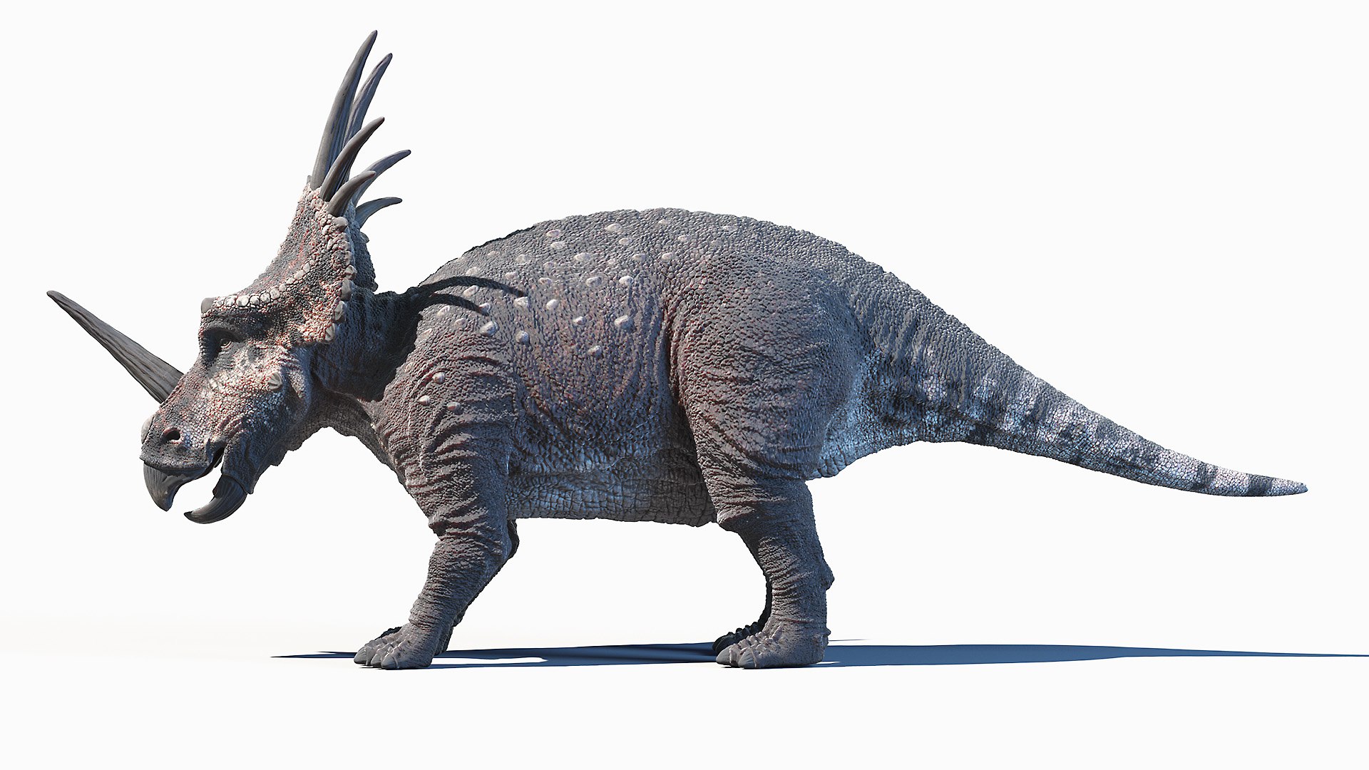 Dinopack XXL Static 3D model https://p.turbosquid.com/ts-thumb/ox/j0S7ab/8D/styracosaurus0000/jpg/1623160824/1920x1080/fit_q87/14be3b25d324291b6f875c0b38d7a27099cbf1cb/styracosaurus0000.jpg