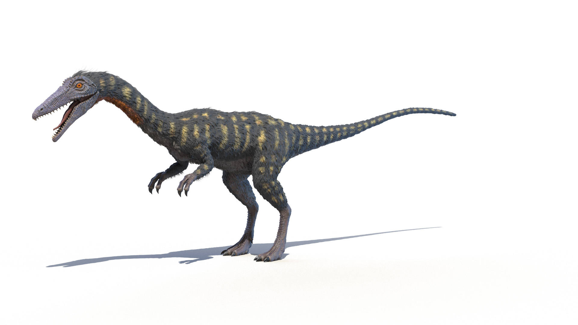 Dinopack XXL Static 3D model https://p.turbosquid.com/ts-thumb/ox/j0S7ab/9d/coelophysis_turntable/jpg/1623077735/1920x1080/turn_fit_q99/d5f61ec5785a9f59f3266f21ad0b6916b1c72d30/coelophysis_turntable-1.jpg