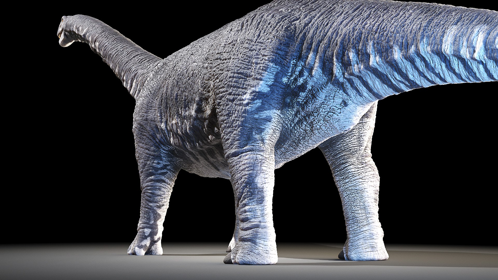 Dinopack XXL Static 3D model https://p.turbosquid.com/ts-thumb/ox/j0S7ab/9l/argentinosaurus0008/jpg/1623138888/1920x1080/fit_q87/d77a0593bad69956fd4f5cee6b181f91f997ce61/argentinosaurus0008.jpg