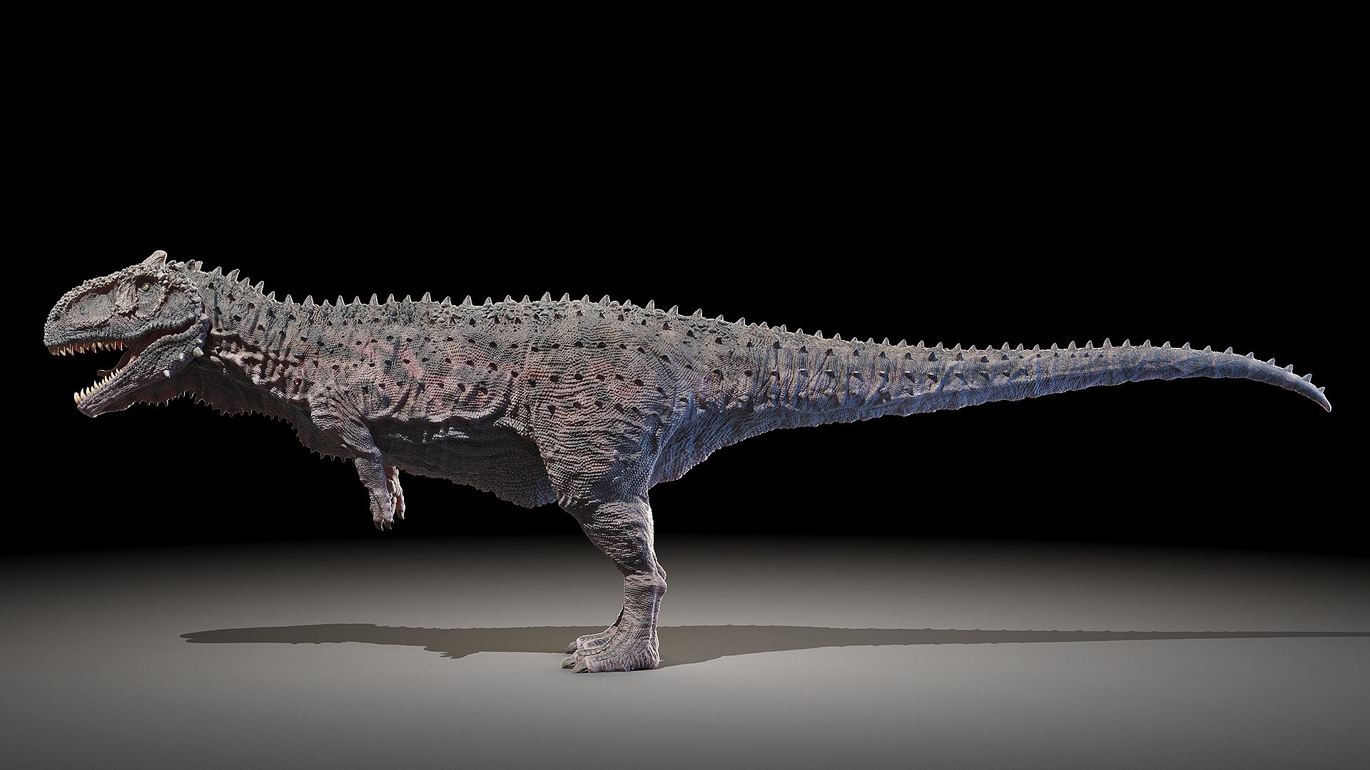 Dinopack XXL Static 3D model https://p.turbosquid.com/ts-thumb/ox/j0S7ab/AY/rajasaurus0000/jpg/1623158504/1920x1080/fit_q87/f1320c05b4811791ee2da6dbb009f542b26d2ed9/rajasaurus0000.jpg
