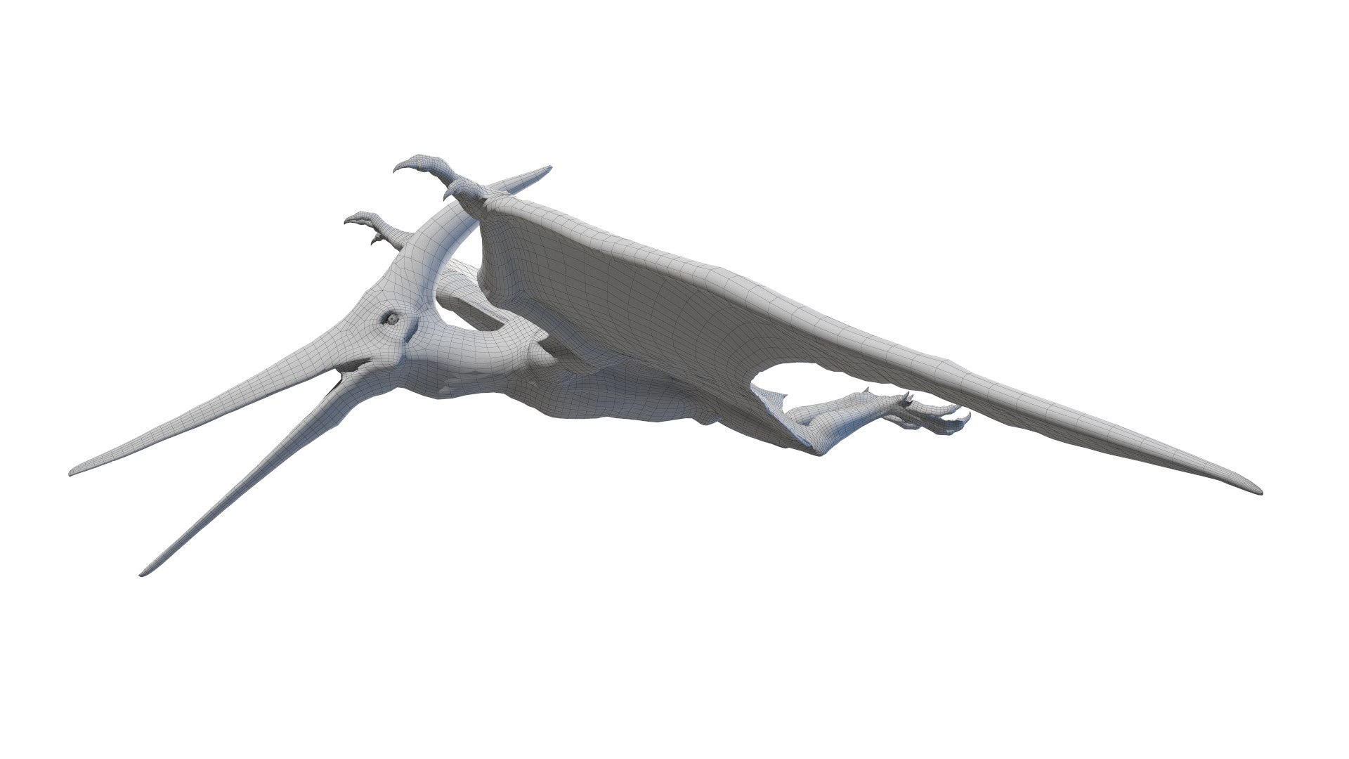 Dinopack XXL Static 3D model https://p.turbosquid.com/ts-thumb/ox/j0S7ab/Aj/pteranodon_wire0000/jpg/1623164232/1920x1080/fit_q87/fb19cee7e2b15653beb742d371dae7180b72cac7/pteranodon_wire0000.jpg
