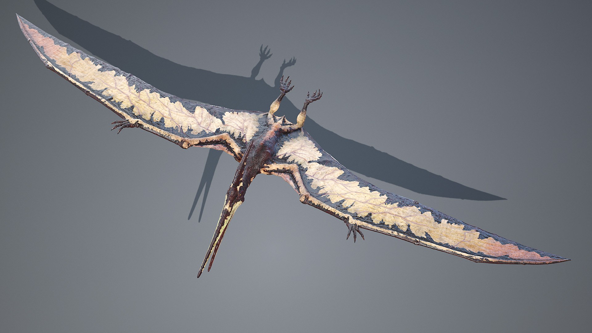 Dinopack XXL Static 3D model https://p.turbosquid.com/ts-thumb/ox/j0S7ab/Bd/pteranodon0002/jpg/1623158257/1920x1080/fit_q87/c40a25f13eaad364d1676580753a967731b7212e/pteranodon0002.jpg