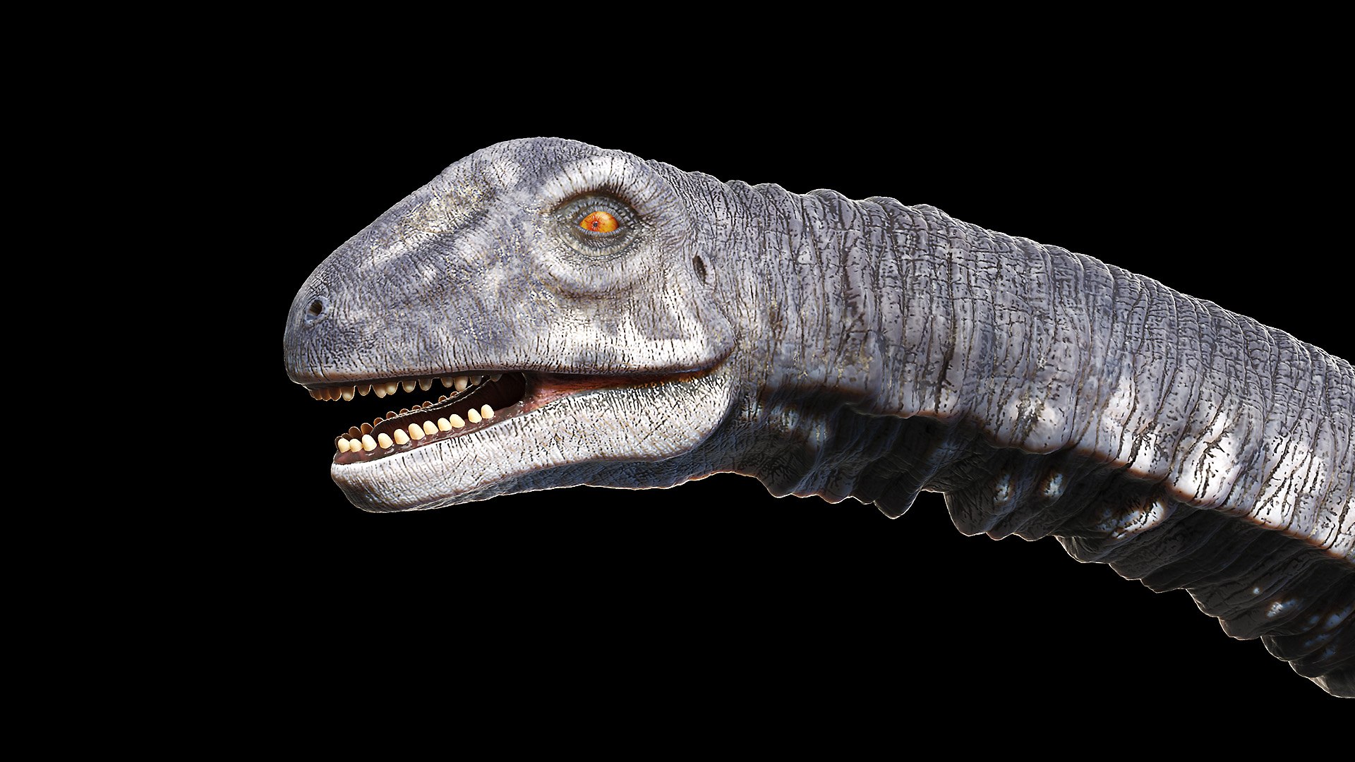 Dinopack XXL Static 3D model https://p.turbosquid.com/ts-thumb/ox/j0S7ab/Eu/argentinosaurus0006/jpg/1623138888/1920x1080/fit_q87/9aa4702d9df8d354c2d964a00d9da31e1491f0cf/argentinosaurus0006.jpg