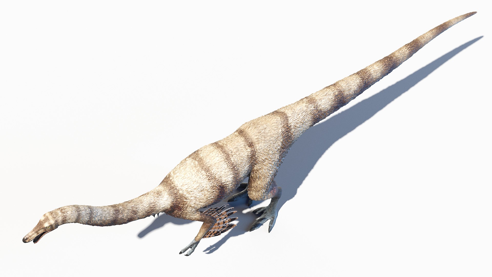 Dinopack XXL Static 3D model https://p.turbosquid.com/ts-thumb/ox/j0S7ab/Gb/ornithomimus0003/jpg/1623157985/1920x1080/fit_q87/d2d14d1a3f5069ae9ab82630904b8605b74183c6/ornithomimus0003.jpg