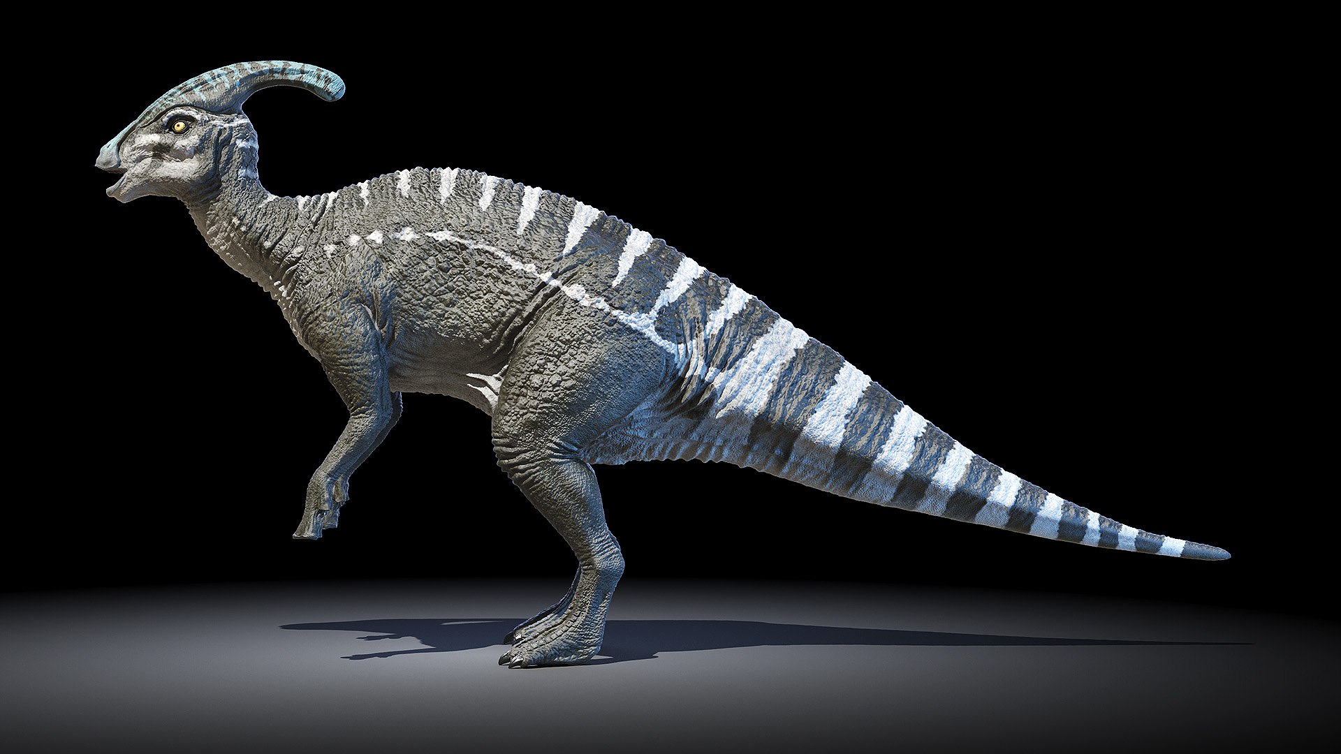 Dinopack XXL Static 3D model https://p.turbosquid.com/ts-thumb/ox/j0S7ab/Hj/parasaurolophus0001/jpg/1623158042/1920x1080/fit_q87/4a0f2281264985f22f601b40e2948e0f2672ccb0/parasaurolophus0001.jpg
