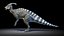 Dinopack XXL 静态