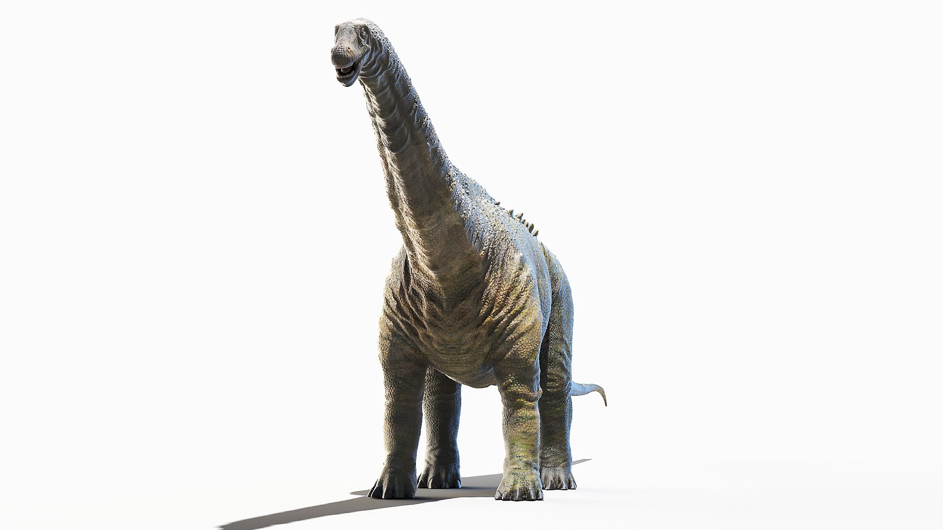 Dinopack XXL Static 3D model https://p.turbosquid.com/ts-thumb/ox/j0S7ab/IT/apatosaurus0006/jpg/1623138250/1920x1080/fit_q87/dfff5d34852f154debf7a24c009202bcded72a27/apatosaurus0006.jpg