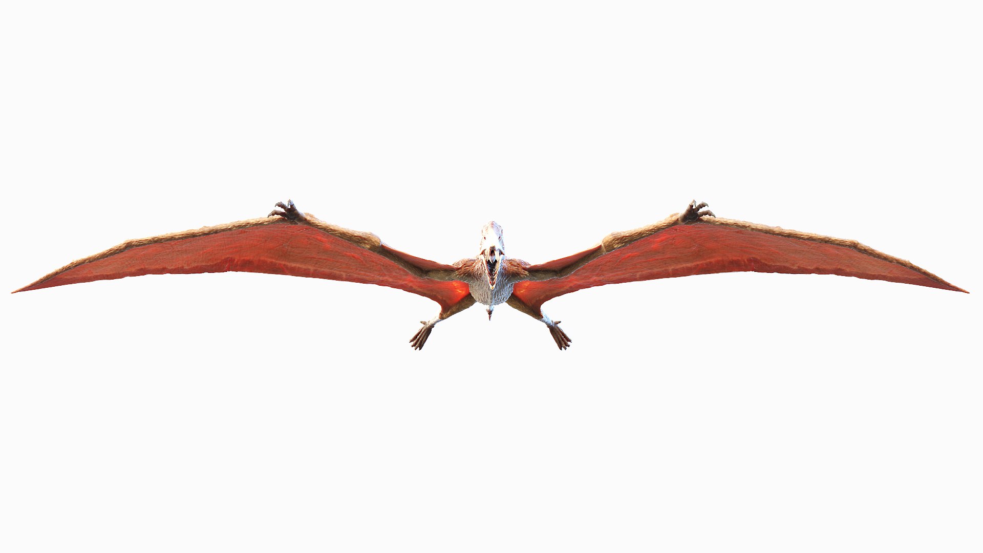 Dinopack XXL Static 3D model https://p.turbosquid.com/ts-thumb/ox/j0S7ab/Ma/rhamphorhynchus0003/jpg/1623158808/1920x1080/fit_q87/805fef1a5ff2e05dd273b0c124e3a281431098fa/rhamphorhynchus0003.jpg