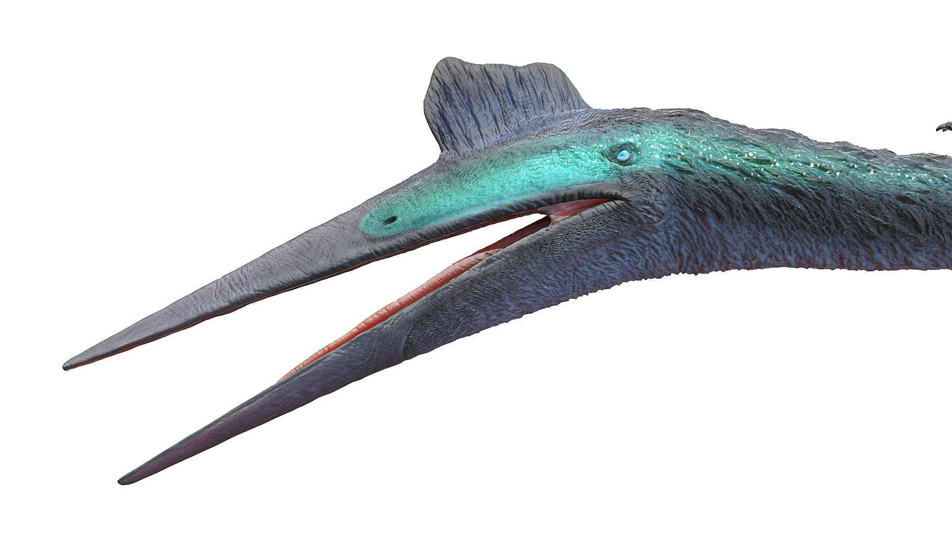 Dinopack XXL Static 3D model https://p.turbosquid.com/ts-thumb/ox/j0S7ab/Nd/quetzalcoatlus0006/jpg/1623158398/1920x1080/fit_q87/cb86ead4e93542c4bd9b8640f8b31778e89422a2/quetzalcoatlus0006.jpg