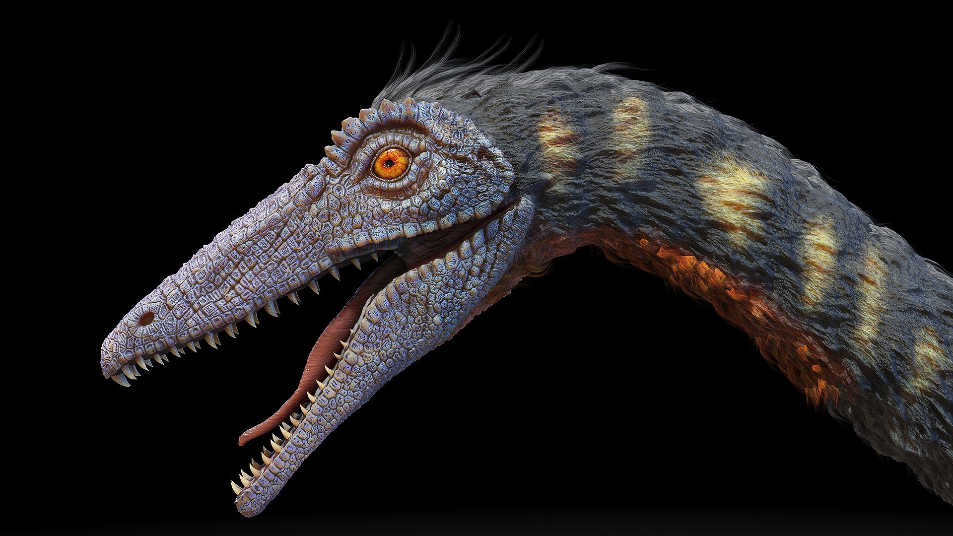 Dinopack XXL Static 3D model https://p.turbosquid.com/ts-thumb/ox/j0S7ab/Oi/coelophysis0006/jpg/1623141880/1920x1080/fit_q87/034b091dd900d9b2a37138e835c720b951a43229/coelophysis0006.jpg