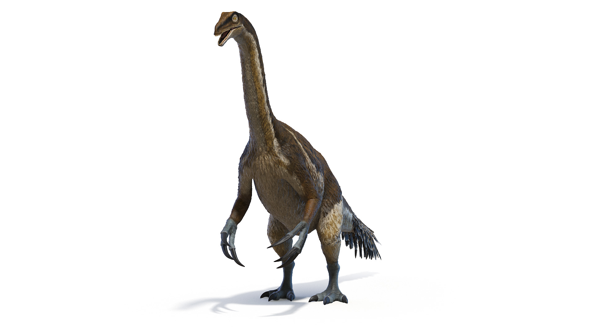 Dinopack XXL Static 3D model https://p.turbosquid.com/ts-thumb/ox/j0S7ab/Om/therizinosaurus_turntable/jpg/1623086572/1920x1080/turn_fit_q99/30792fbd543d2ffc9fb945472608a6ed4dfb87e5/therizinosaurus_turntable-1.jpg