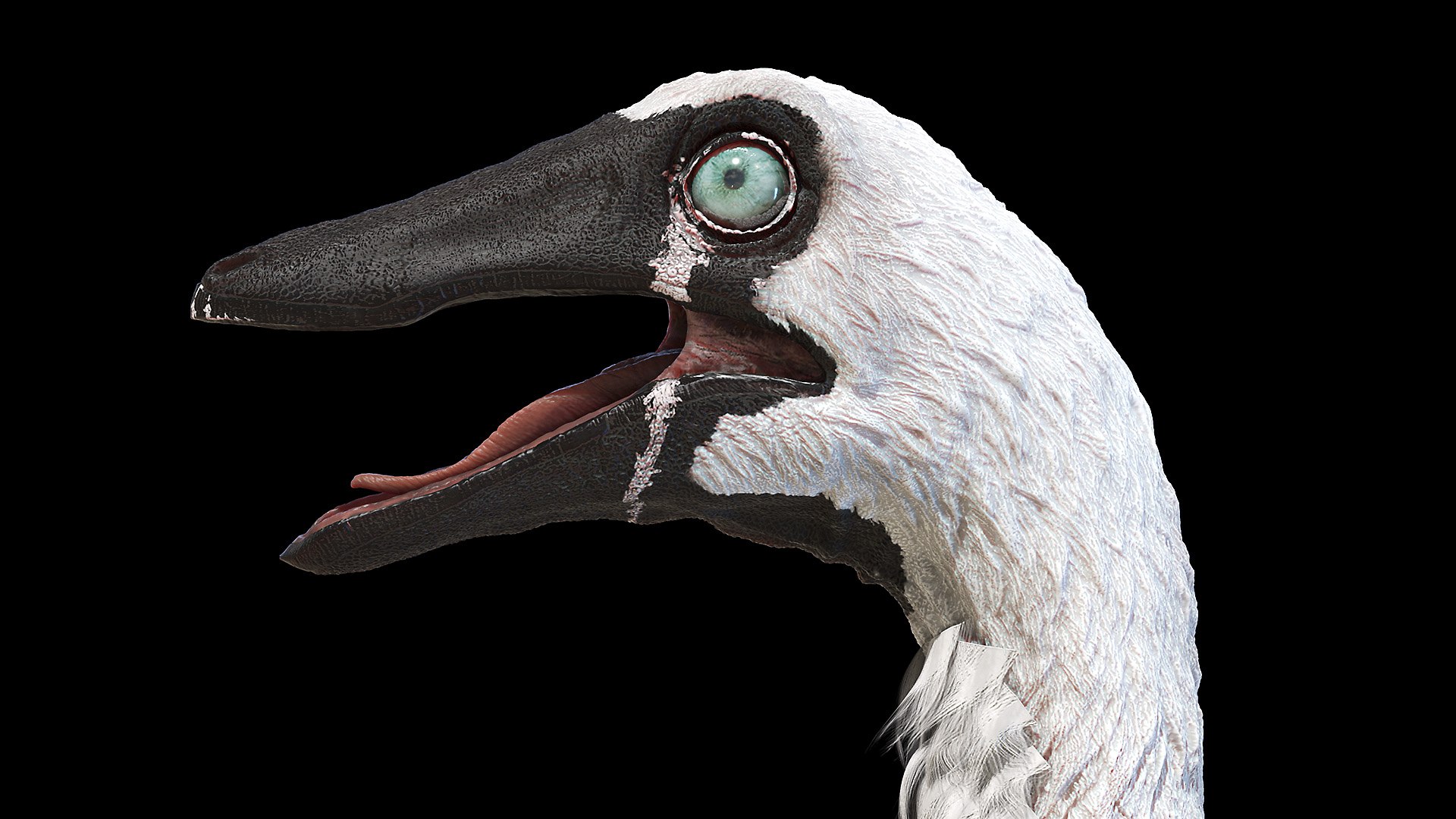 Dinopack XXL Static 3D model https://p.turbosquid.com/ts-thumb/ox/j0S7ab/Rx/gallinimus0005/jpg/1623152268/1920x1080/fit_q87/6f31576f7636da48ffb73c5f4a621ae9f7a73903/gallinimus0005.jpg