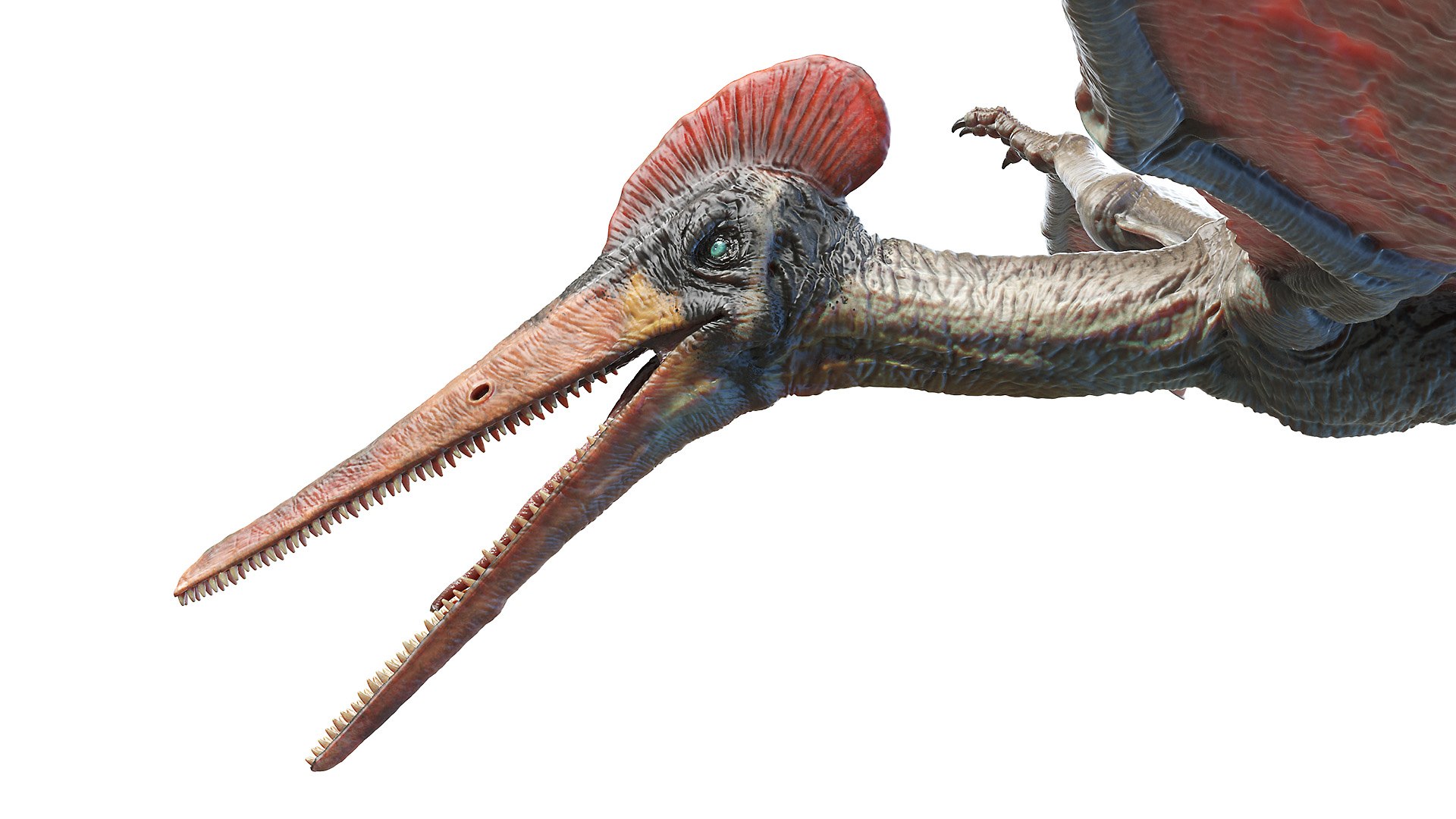 Dinopack XXL Static 3D model https://p.turbosquid.com/ts-thumb/ox/j0S7ab/Sg/pterodactyl0006/jpg/1623158340/1920x1080/fit_q87/6de726920ca8e4ca6d1aa950f0c9e67a7ef0fd06/pterodactyl0006.jpg
