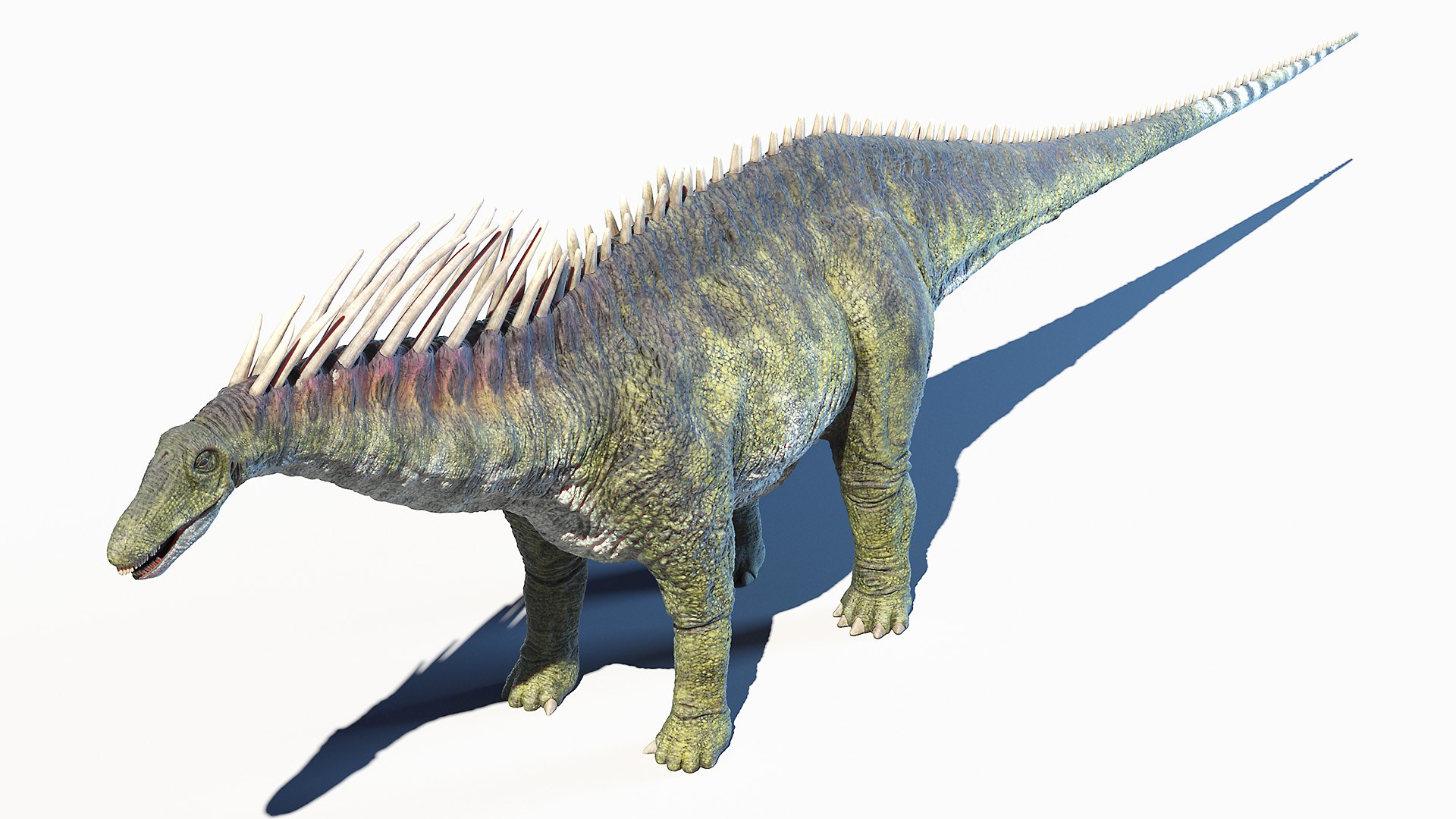 Dinopack XXL Static 3D model https://p.turbosquid.com/ts-thumb/ox/j0S7ab/T3/amargasaurus0007/jpg/1623137934/1920x1080/fit_q87/66bd7639d529c11cfd54d4087c7ee110c2078b03/amargasaurus0007.jpg