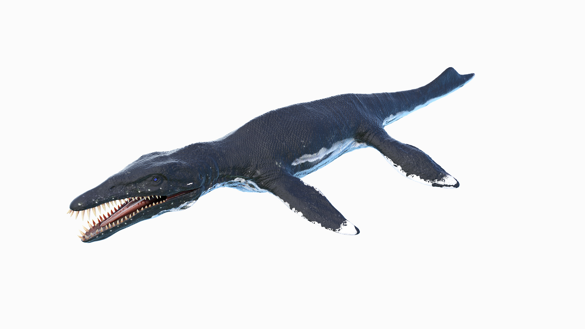 Dinopack XXL Static 3D model https://p.turbosquid.com/ts-thumb/ox/j0S7ab/T8/liopleurodon_turntable/jpg/1623080358/1920x1080/turn_fit_q99/6e7cc1fc03679e33026bc77c3a4c678616d0d739/liopleurodon_turntable-1.jpg