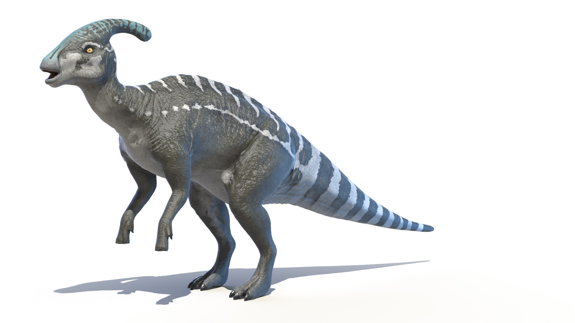 Dinopack XXL Static 3D model https://p.turbosquid.com/ts-thumb/ox/j0S7ab/Tb/parasaurolophus_turntable/jpg/1623085288/1920x1080/turn_fit_q99/e99c04218bd4b1ad9fae9ae3f019e61578187f40/parasaurolophus_turntable-1.jpg