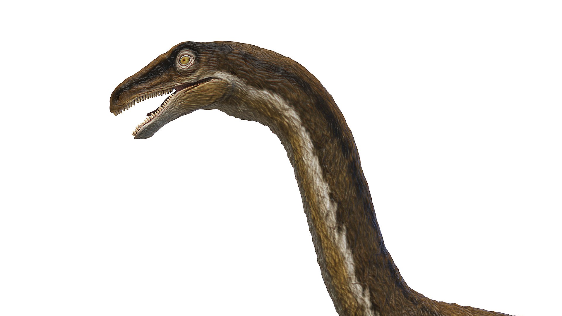Dinopack XXL Static 3D model https://p.turbosquid.com/ts-thumb/ox/j0S7ab/Uk/therizinosaurus0006/jpg/1623160966/1920x1080/fit_q87/03cd7fd1659a8940e640a55758eaf7850c1408b3/therizinosaurus0006.jpg