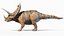 Dinopack XXL 静态