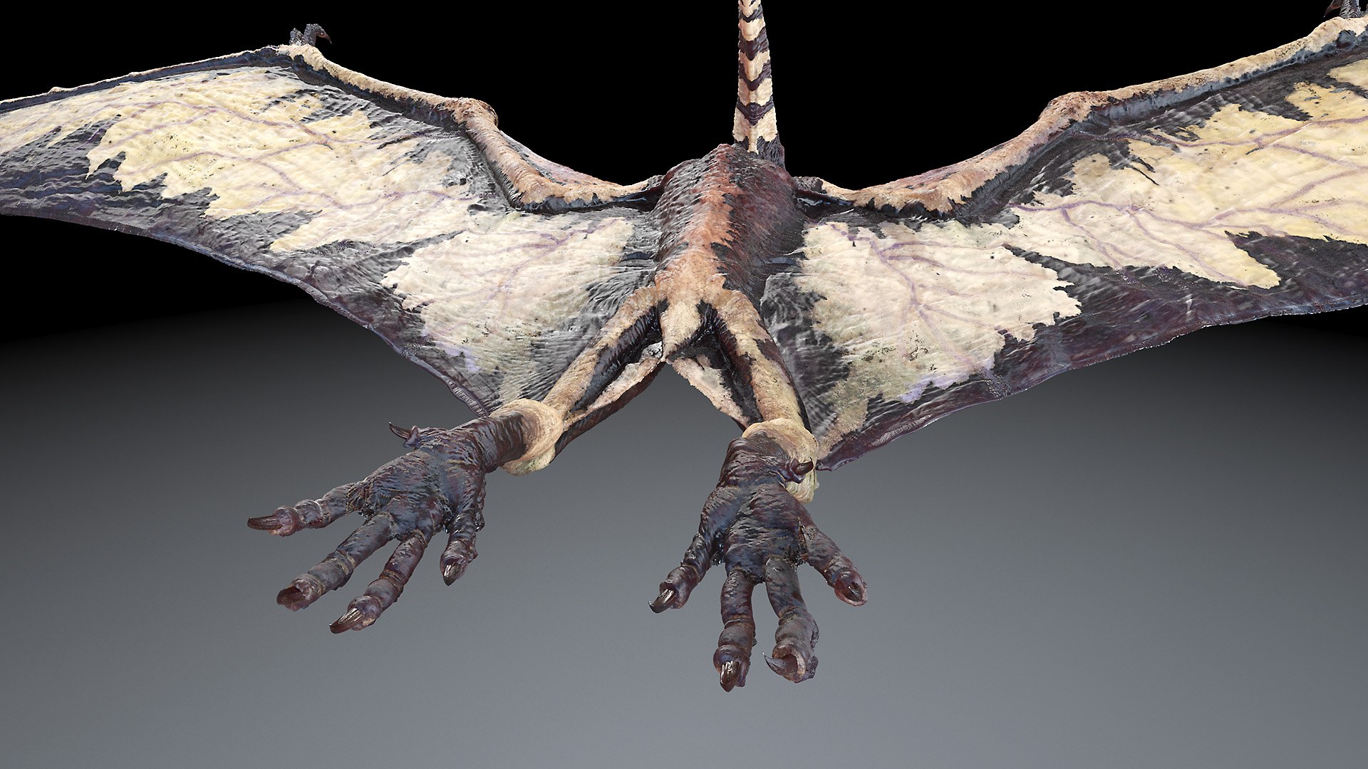 Dinopack XXL Static 3D model https://p.turbosquid.com/ts-thumb/ox/j0S7ab/bf/pteranodon0008/jpg/1623158257/1920x1080/fit_q87/4d01f8b33192cd3631d2dea333ed89111f546111/pteranodon0008.jpg