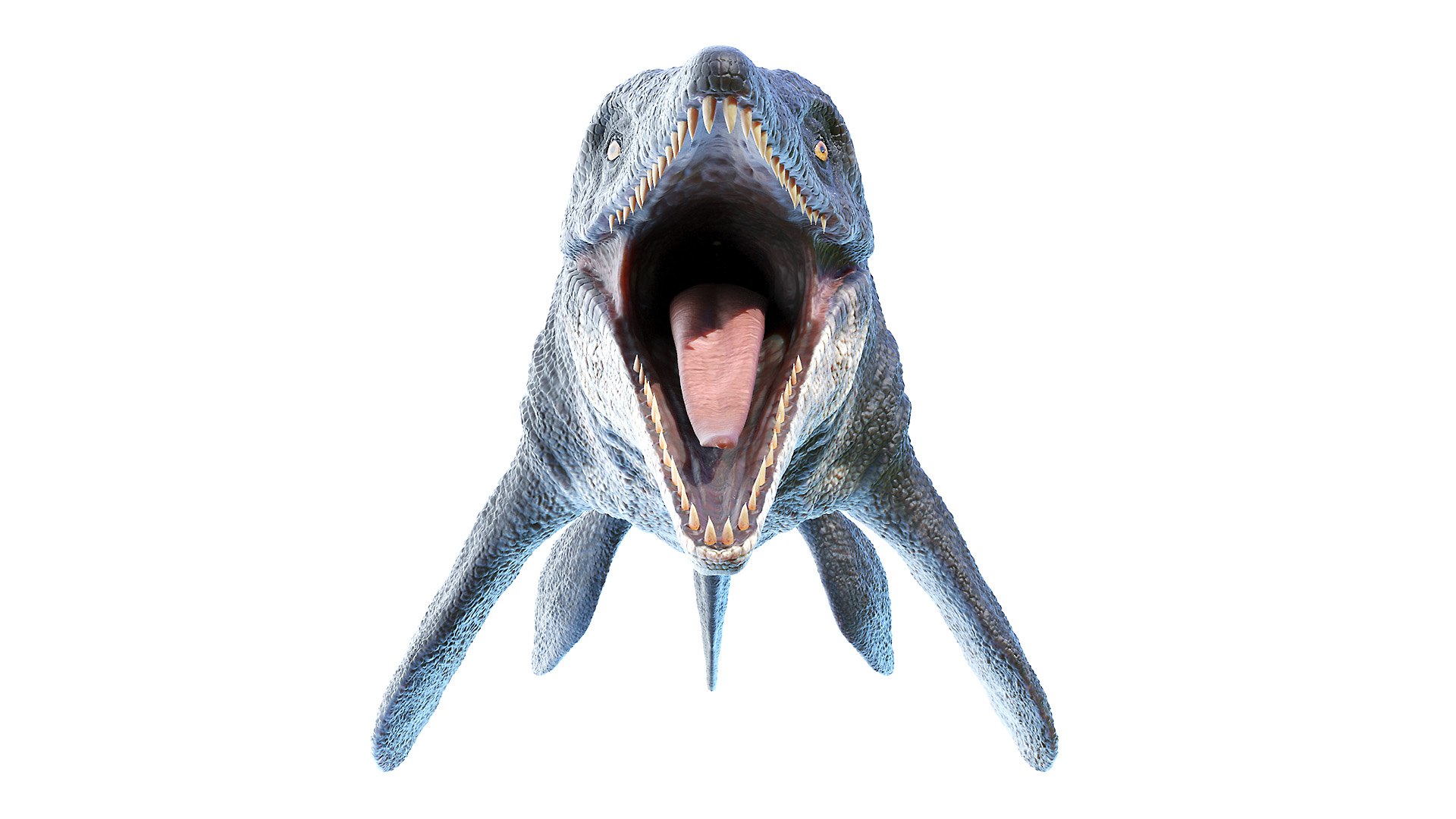 Dinopack XXL Static 3D model https://p.turbosquid.com/ts-thumb/ox/j0S7ab/fx/tylosaurus0007/jpg/1623161168/1920x1080/fit_q87/57cf969f5a84f27726211edc13630c22451e83ce/tylosaurus0007.jpg