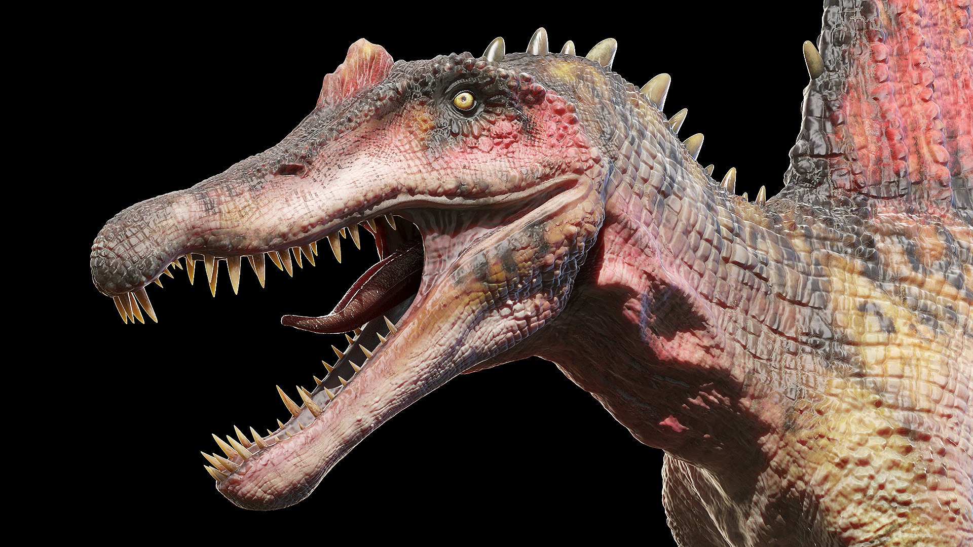 Dinopack XXL Static 3D model https://p.turbosquid.com/ts-thumb/ox/j0S7ab/gQ/spinosaurus0006/jpg/1623160774/1920x1080/fit_q87/ba25c4393dfe4bb7583522a9e90d478bdc2eefc3/spinosaurus0006.jpg