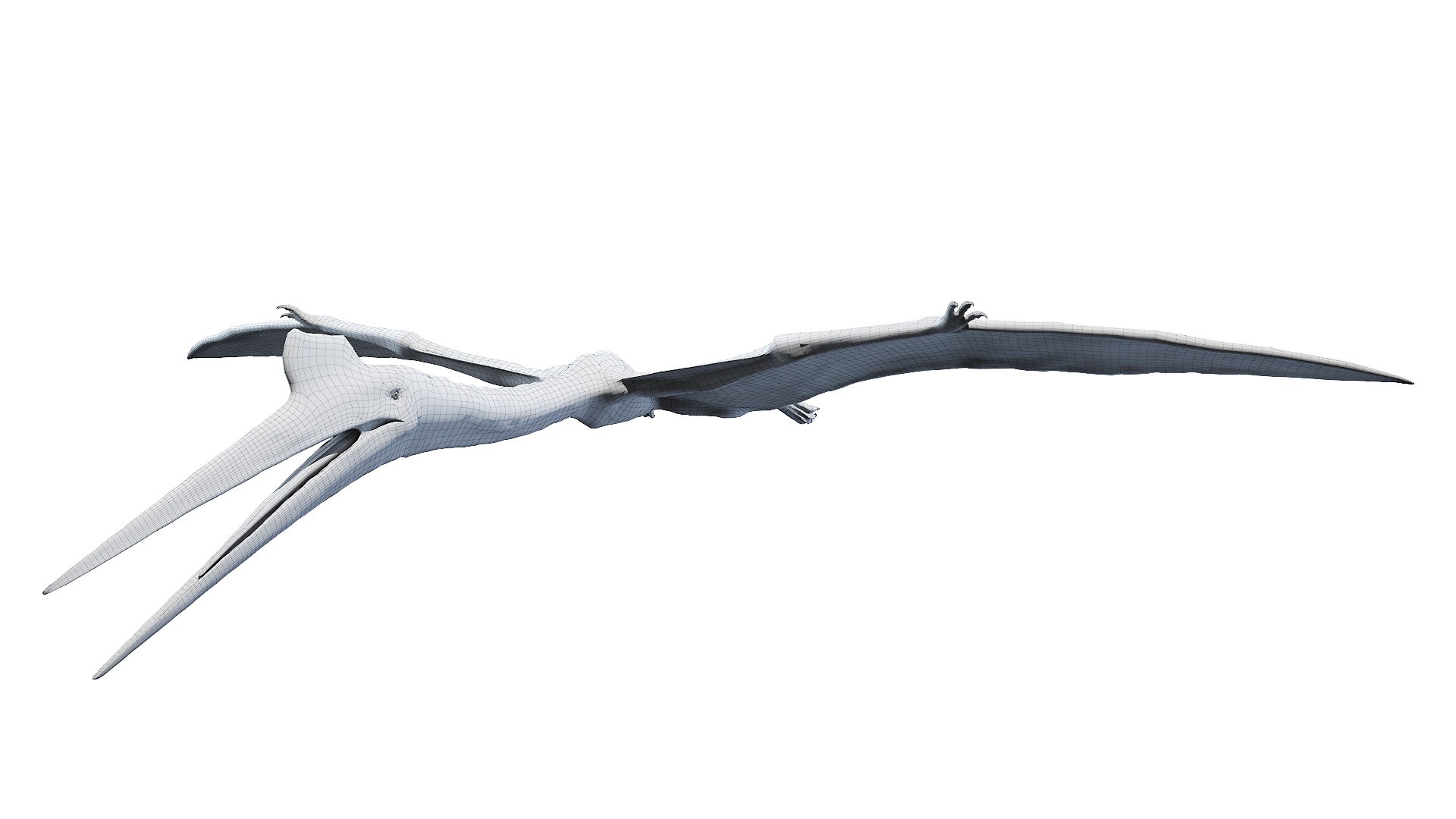 Dinopack XXL Static 3D model https://p.turbosquid.com/ts-thumb/ox/j0S7ab/hP/quetzalcoatlus_wire0005/jpg/1623164363/1920x1080/fit_q87/8074bc9d01b9d24e25d113160c9df382ad2574b5/quetzalcoatlus_wire0005.jpg