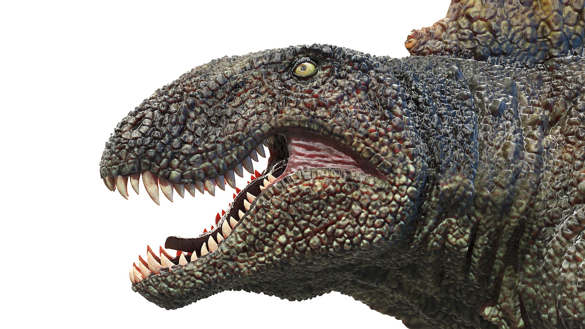 Dinopack XXL Static 3D model https://p.turbosquid.com/ts-thumb/ox/j0S7ab/l3/dimetrodon0005/jpg/1623151289/1920x1080/fit_q87/89b91d6824511acfe07c161eb635d675cae01ffc/dimetrodon0005.jpg