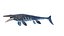 Dinopack XXL 静态