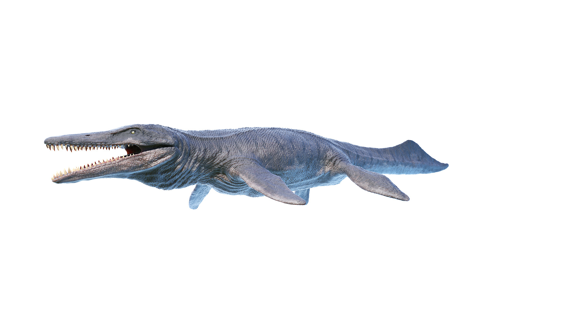 Dinopack XXL Static 3D model https://p.turbosquid.com/ts-thumb/ox/j0S7ab/le/kronosaurus_turntable/jpg/1623080279/1920x1080/turn_fit_q99/b2271b2c1a7b1decb32dbfc0220d0a32cd113d64/kronosaurus_turntable-1.jpg