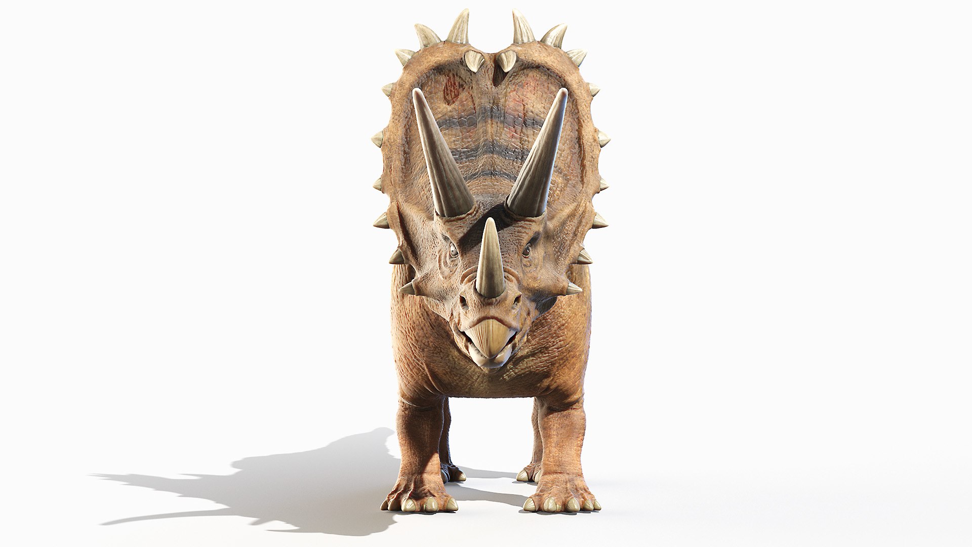 Dinopack XXL Static 3D model https://p.turbosquid.com/ts-thumb/ox/j0S7ab/mi/pentaceratops0004/jpg/1623158220/1920x1080/fit_q87/ab585e19b31d5e1df03c254a873dfd437fb6254e/pentaceratops0004.jpg