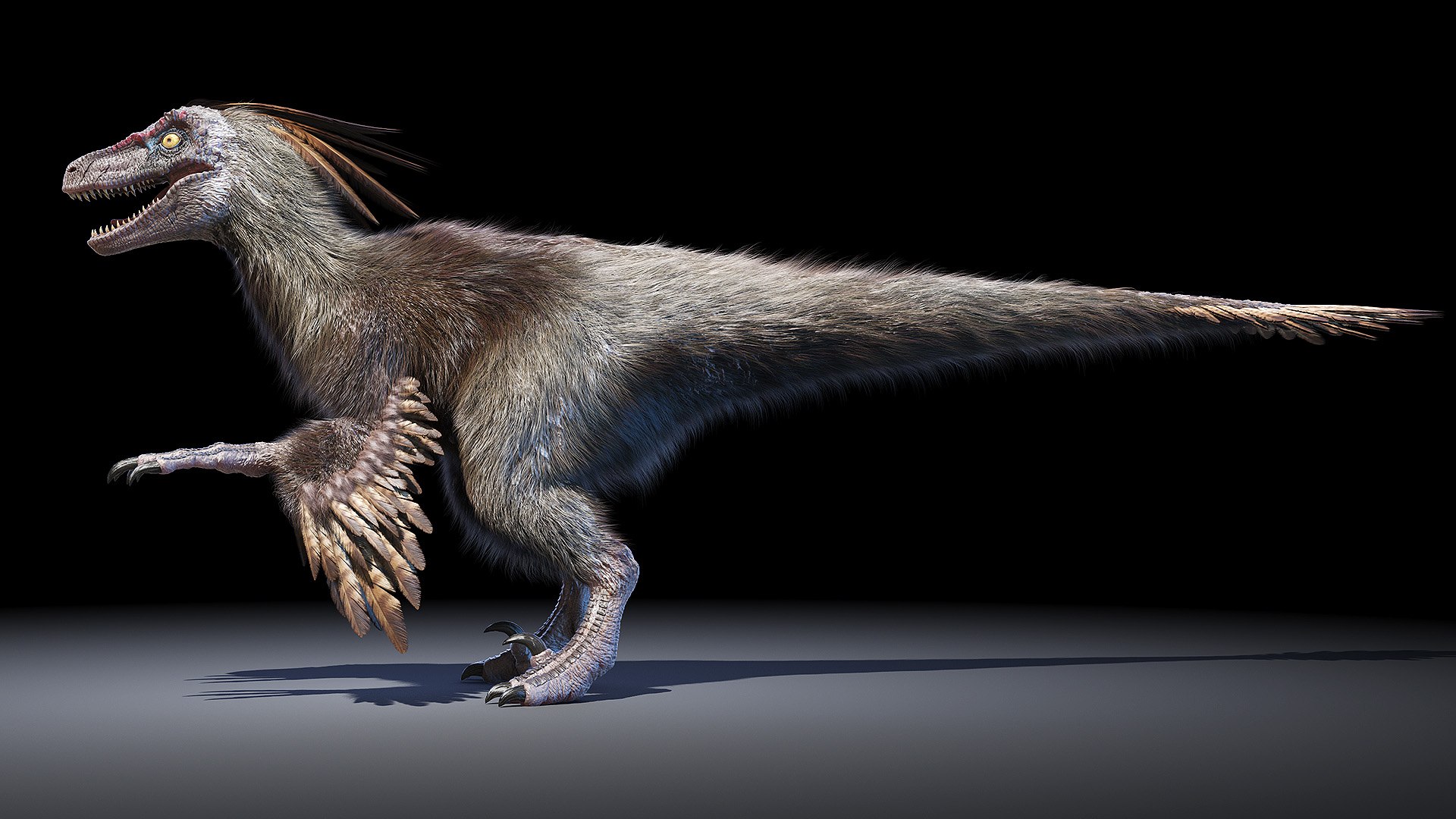 Dinopack XXL Static 3D model https://p.turbosquid.com/ts-thumb/ox/j0S7ab/nv/velociraptor0002/jpg/1623161654/1920x1080/fit_q87/fa5888abafe13188ea71638e94520fa3916899ee/velociraptor0002.jpg