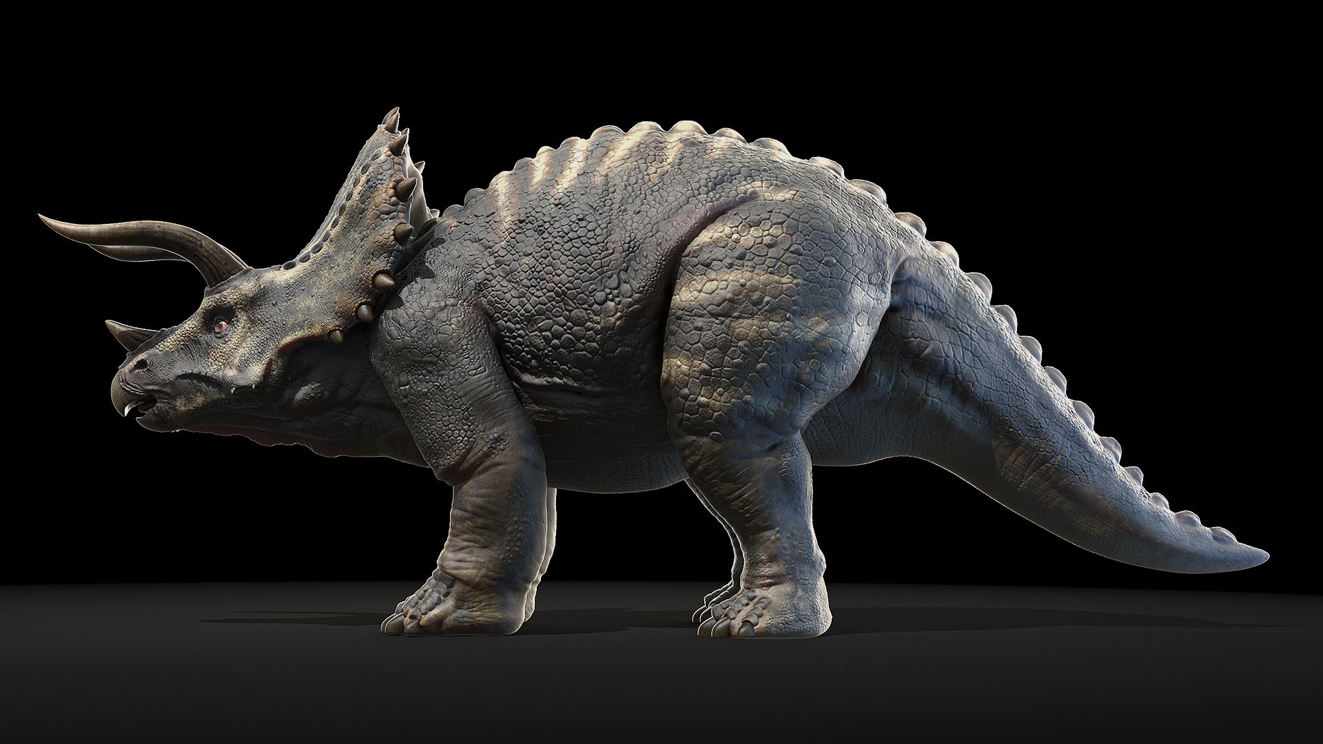 Dinopack XXL Static 3D model https://p.turbosquid.com/ts-thumb/ox/j0S7ab/rE/triceratops0000/jpg/1623161135/1920x1080/fit_q87/66497a008980dfc9ea0535d125382c7c21fc21e4/triceratops0000.jpg