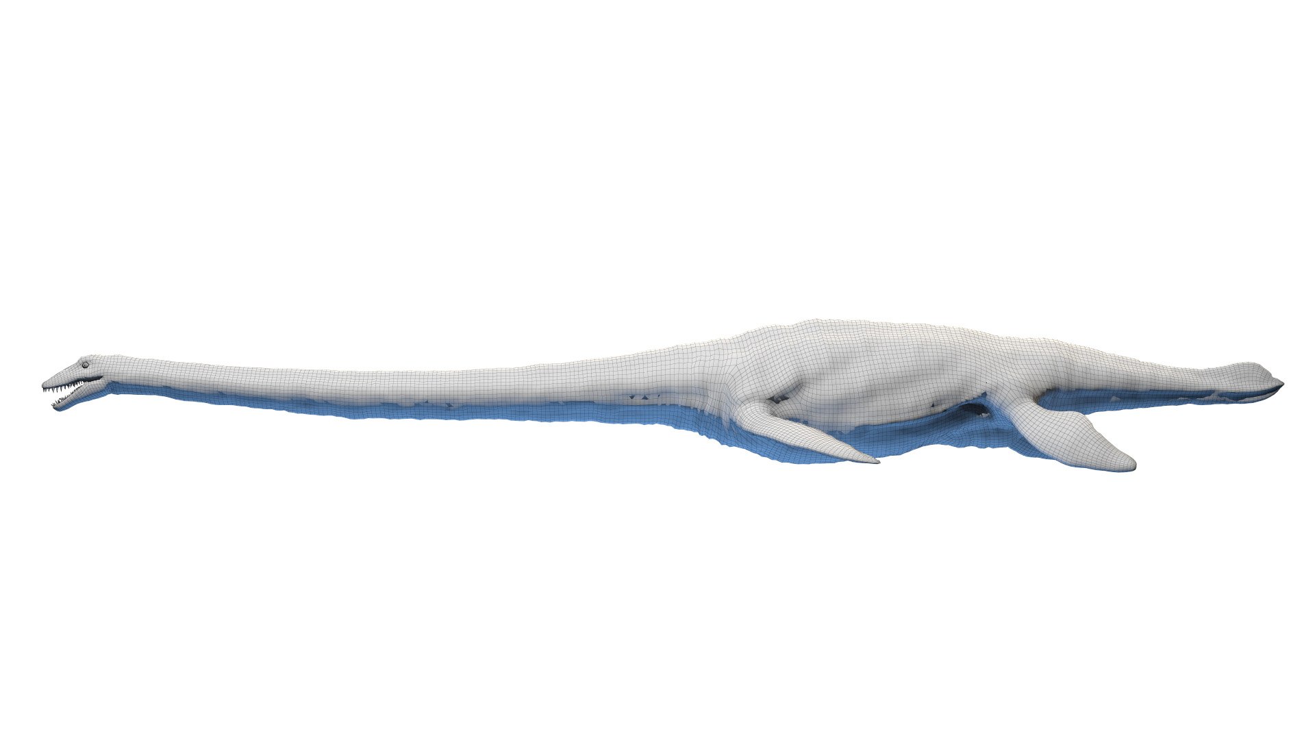 Dinopack XXL Static 3D model https://p.turbosquid.com/ts-thumb/ox/j0S7ab/rX/elasmosaurus_wire0001/jpg/1623163490/1920x1080/fit_q87/6cfc21617524dd93b715d815360cf1369f7111f9/elasmosaurus_wire0001.jpg