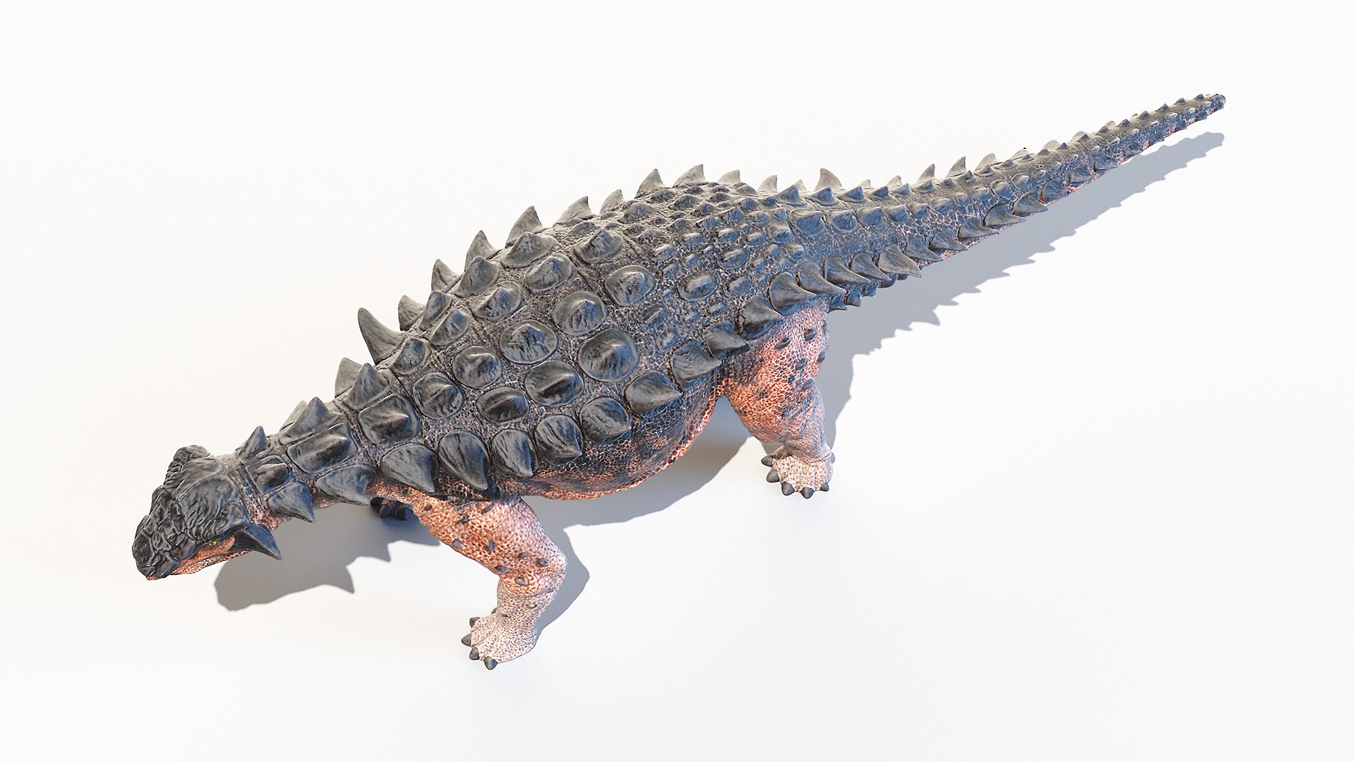 Dinopack XXL Static 3D model https://p.turbosquid.com/ts-thumb/ox/j0S7ab/s7/europelta0003/jpg/1623152122/1920x1080/fit_q87/1c4d24b91dcc28a3b28e8e2c8f3a4a6fa9c66db2/europelta0003.jpg